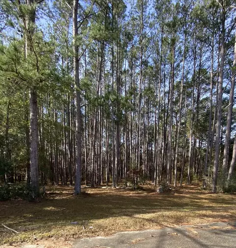 Lot 18 Millstone Plantation Road, Tallahassee, FL 32312