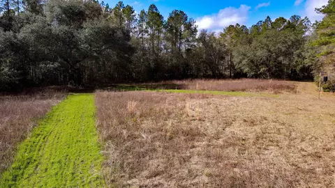 2975 E Capps Hwy, Lamont, FL 32344 photo 13