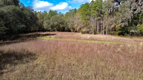 2975 E Capps Hwy, Lamont, FL 32344 photo 12