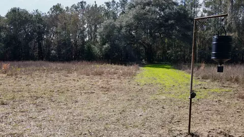 2975 E Capps Hwy, Lamont, FL 32344 photo 17
