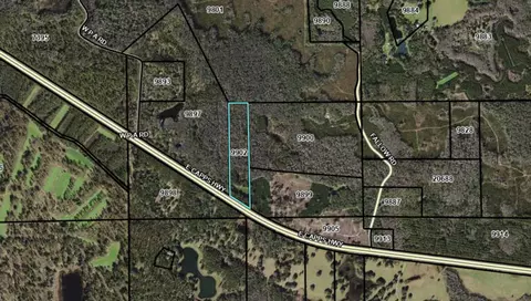 2975 E Capps Hwy, Lamont, FL 32344 photo 6