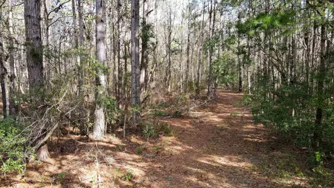 2975 E Capps Hwy, Lamont, FL 32344 photo 16