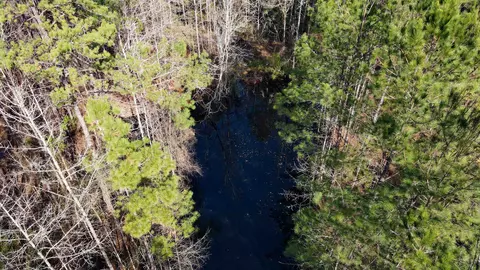 2975 E Capps Hwy, Lamont, FL 32344 photo 21