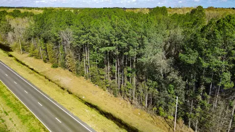 2975 E Capps Hwy, Lamont, FL 32344 photo 2