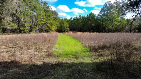2975 E Capps Hwy, Lamont, FL 32344 photo 15