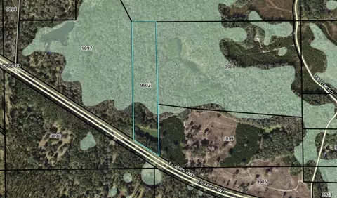 2975 E Capps Hwy, Lamont, FL 32344 photo 8