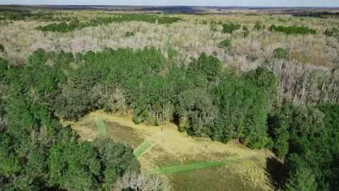 2975 E Capps Hwy, Lamont, FL 32344 photo 19
