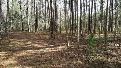 2975 E Capps Hwy, Lamont, FL 32344 photo 18