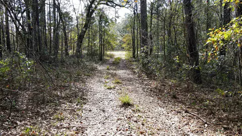 2975 E Capps Hwy, Lamont, FL 32344 photo 22