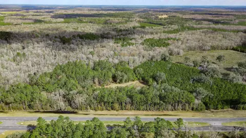 2975 E Capps Hwy, Lamont, FL 32344 photo 4