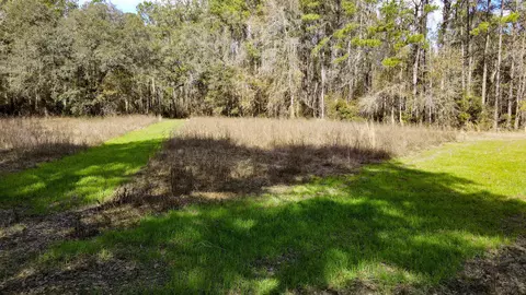2975 E Capps Hwy, Lamont, FL 32344 photo 3