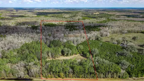 2975 E Capps Hwy, Lamont, FL 32344