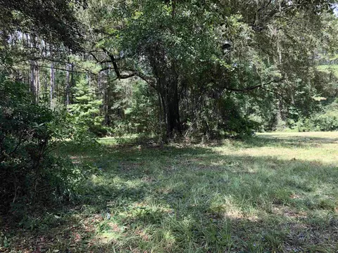 2975 E Capps Hwy, Lamont, FL 32344 photo 27