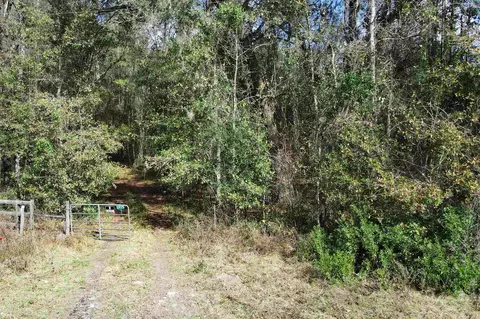 2975 E Capps Hwy, Lamont, FL 32344 photo 26