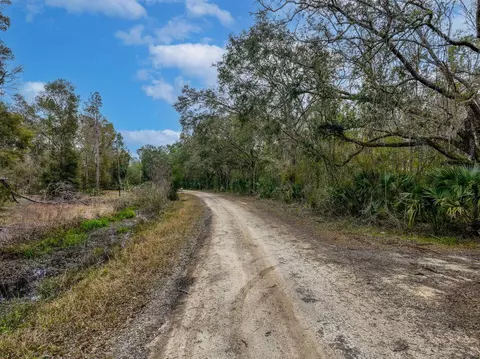 Vacant David Horton Road, Perry, FL 32348 photo 12