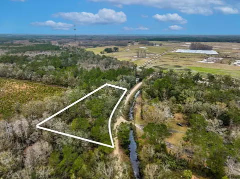 Vacant David Horton Road, Perry, FL 32348 photo 3