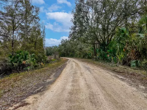 Vacant David Horton Road, Perry, FL 32348 photo 11