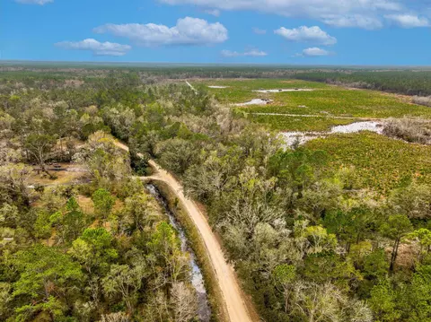 Vacant David Horton Road, Perry, FL 32348 photo 5