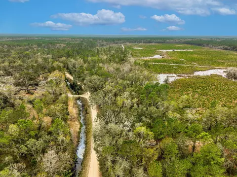 Vacant David Horton Road, Perry, FL 32348 photo 6