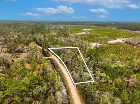 Vacant David Horton Road, Perry, FL 32348
