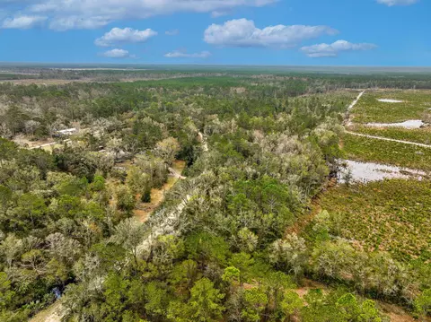 Vacant David Horton Road, Perry, FL 32348 photo 7