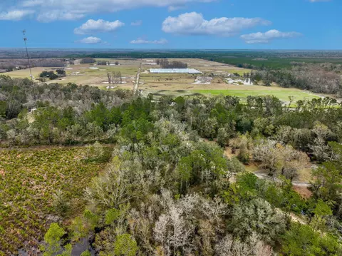 Vacant David Horton Road, Perry, FL 32348 photo 8