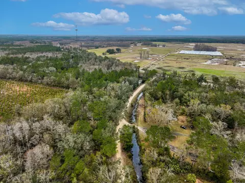 Vacant David Horton Road, Perry, FL 32348 photo 9