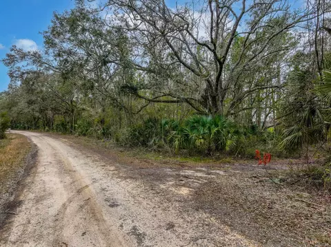 Vacant David Horton Road, Perry, FL 32348 photo 4
