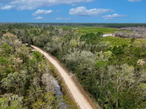 Vacant David Horton Road, Perry, FL 32348 photo 10