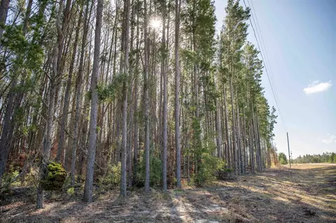 00 NE Liquorice Way, Lee, FL 32059