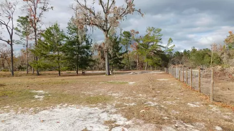 15125 Snapper St, Perry, FL 32348 photo 30