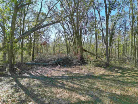 Vacant SW Hiawatha Trail, Lee, FL 32059