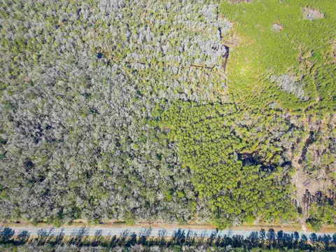 Vacant Us 98 Highway, Perry, FL 32348