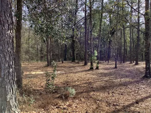 View/Area - 293 Freeman Rd, Lamont, FL 32336 photo 1 of 2