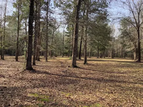 View/Area - 293 Freeman Rd, Lamont, FL 32336 photo 2 of 2