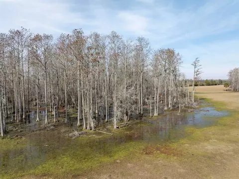 5890 W Us Hwy 98, Perry, FL 32347 photo 24