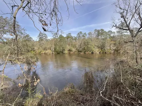 506 NE Withla Bluffs Way, Lee, FL 32059