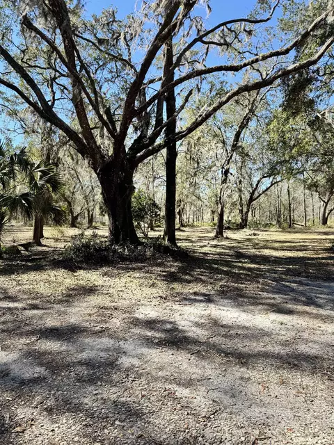 3531 Whipporwill Way, Perry, FL 32347 photo 29