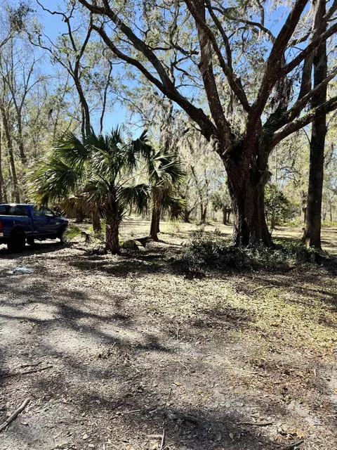 3531 Whipporwill Way, Perry, FL 32347 photo 30