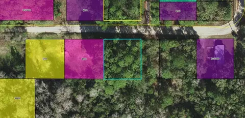 Nnn Pam Drive, Crawfordville, FL 32327