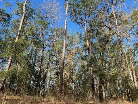 311 NE Timber River Loop, Lee, FL 32059 photo 20