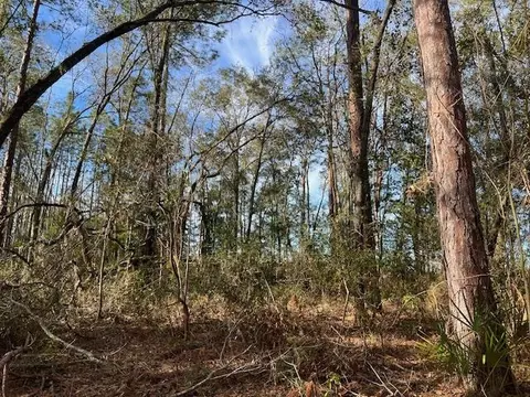 311 NE Timber River Loop, Lee, FL 32059 photo 12
