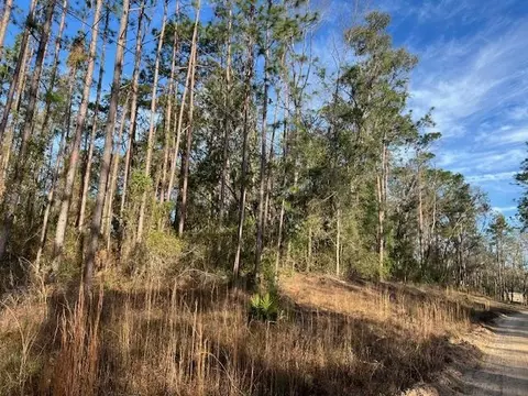 311 NE Timber River Loop, Lee, FL 32059 photo 16