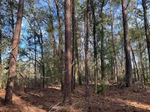 311 NE Timber River Loop, Lee, FL 32059 photo 5
