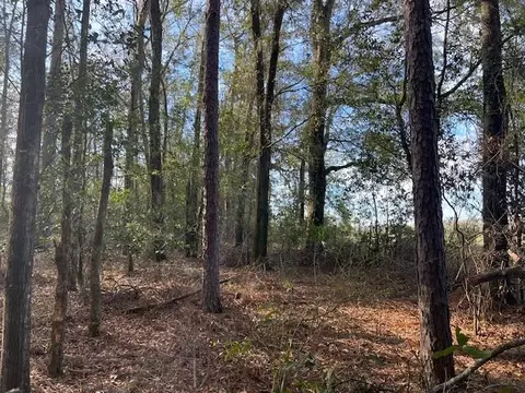 311 NE Timber River Loop, Lee, FL 32059 photo 8