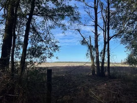311 NE Timber River Loop, Lee, FL 32059 photo 4
