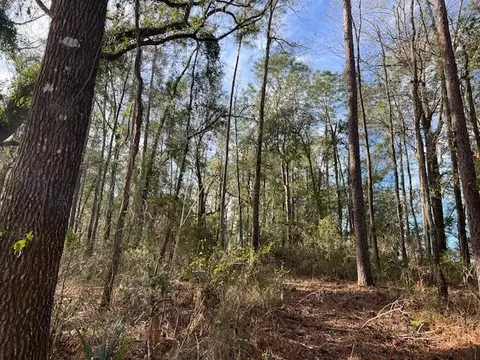 311 NE Timber River Loop, Lee, FL 32059 photo 6