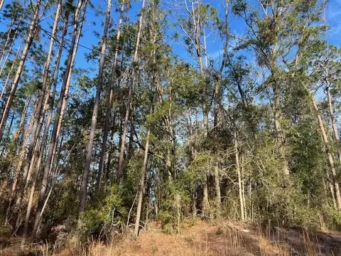 311 NE Timber River Loop, Lee, FL 32059 photo 19