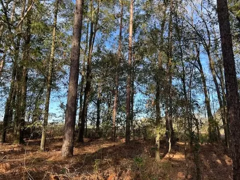311 NE Timber River Loop, Lee, FL 32059 photo 25
