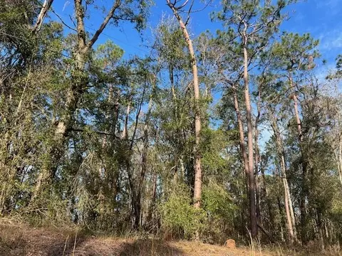 311 NE Timber River Loop, Lee, FL 32059 photo 17